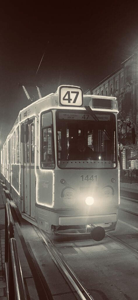 Un Tramway Nommé Désir